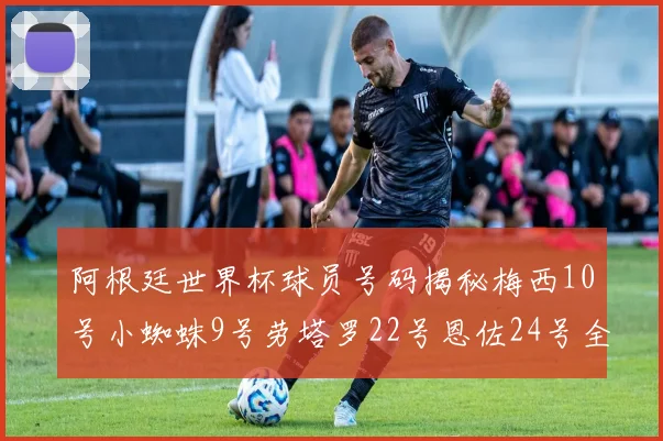 阿根廷世界杯球员号码揭秘梅西10号小蜘蛛9号劳塔罗22号恩佐24号全解析